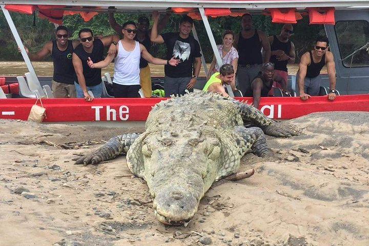 Crocodile Safari Expedition & Carara National Park Nature Walk Private tour from San Jose